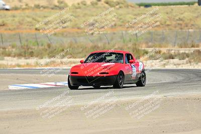 media/Jul-27-2024-Speed Ventures (Sat) [[14cea0cda4]]/Purple/Cotton Corners 1250pm/